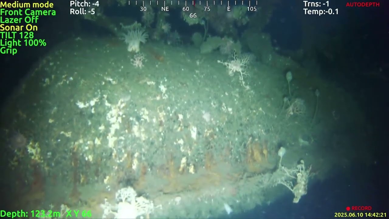 Identification du Ravenel : la première plongée