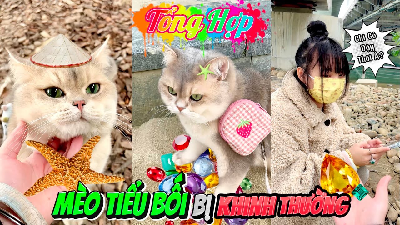 [TỔNG HỢP] Thám Tử Tiểu Bối Bị Khinh Thường Và Cái Kết..| Mới Nhất (Quỳnh Vịt)