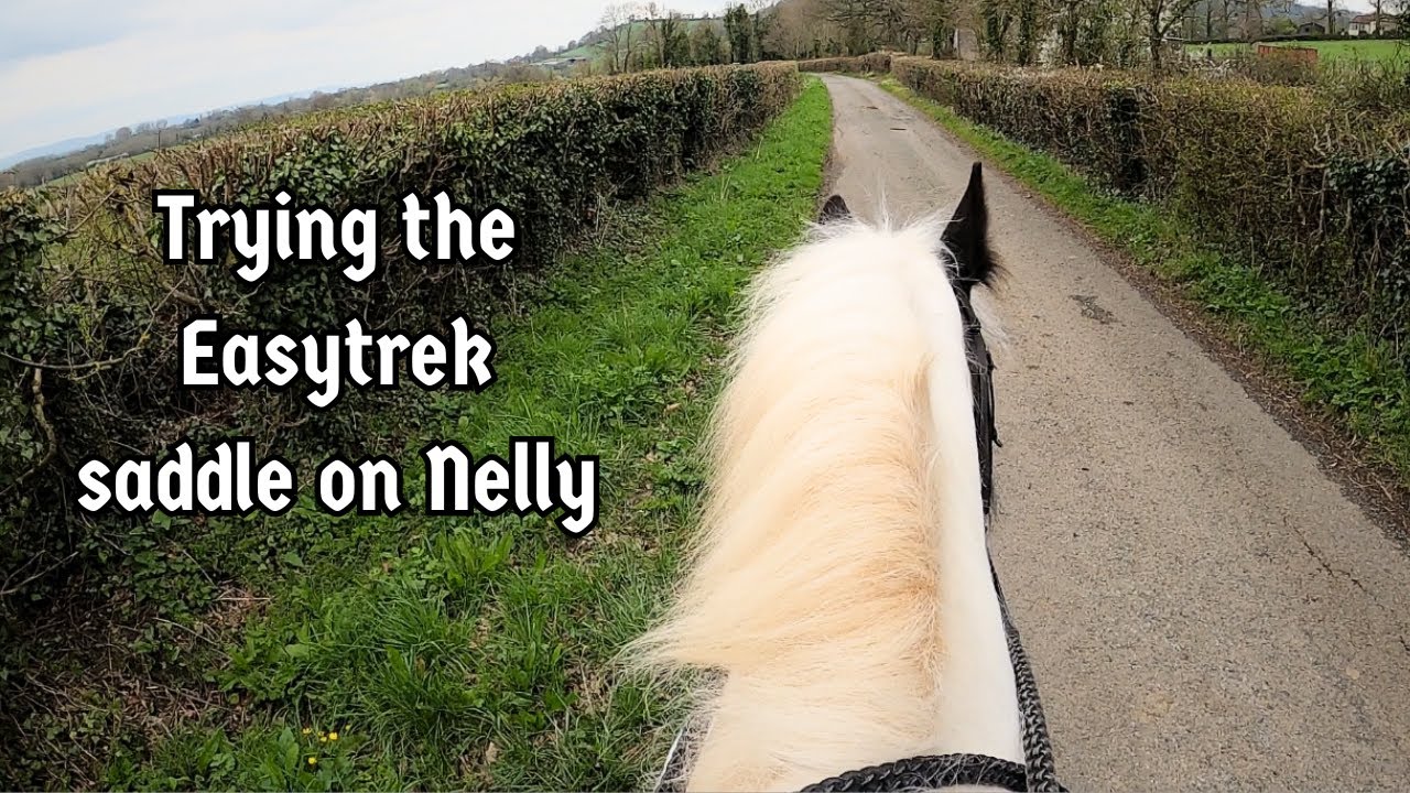 Trying Nelly in our new Easytrek saddle (This thing rides WIDE!) / Equestrian VLOG / Ride with me