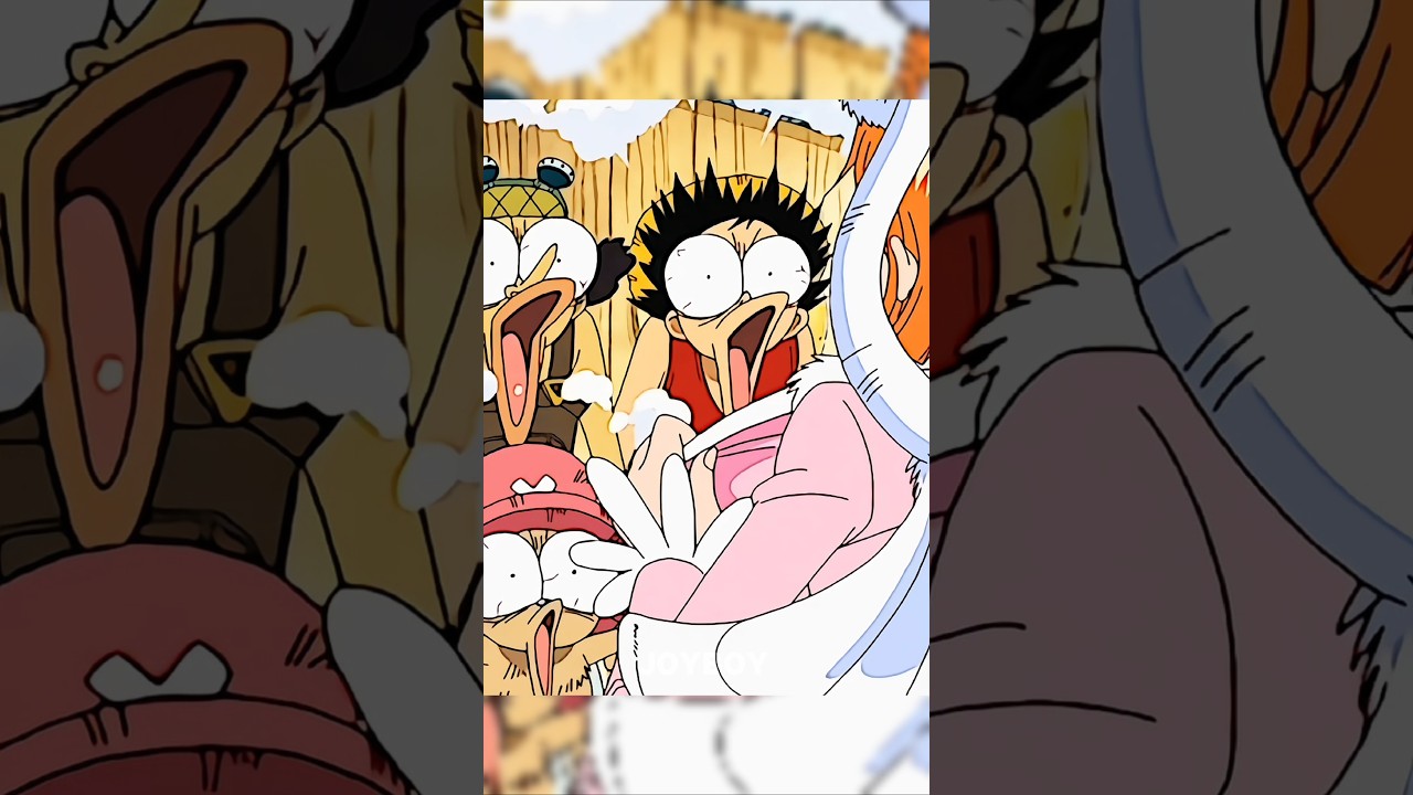 In search of One Piece luffy find out out Two piece 😂#shorts#onepiece#animeshorts