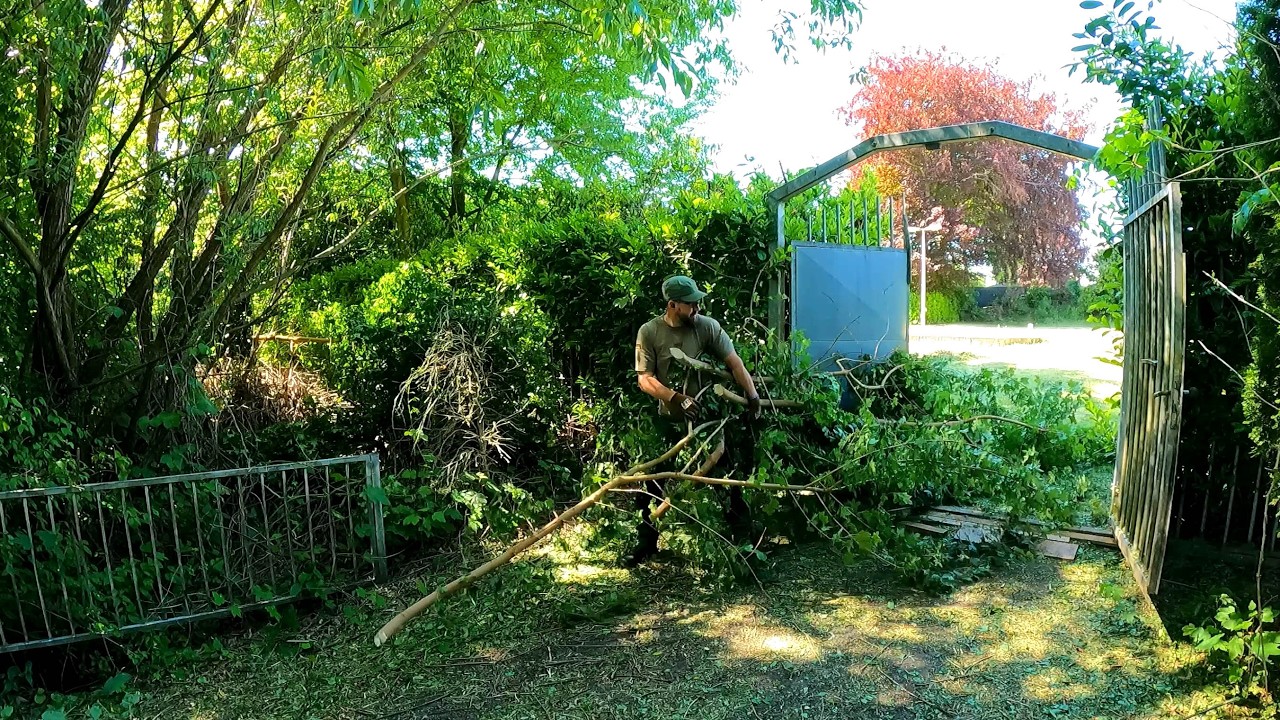 This YARD with Tall and Thick Grass NEEDS MY HELP