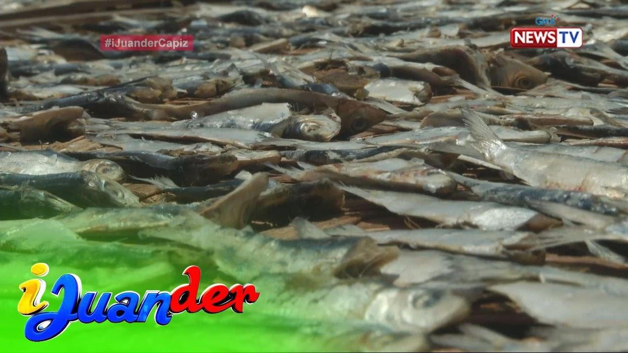 iJuander: Paano ginagawa ang tuyo?