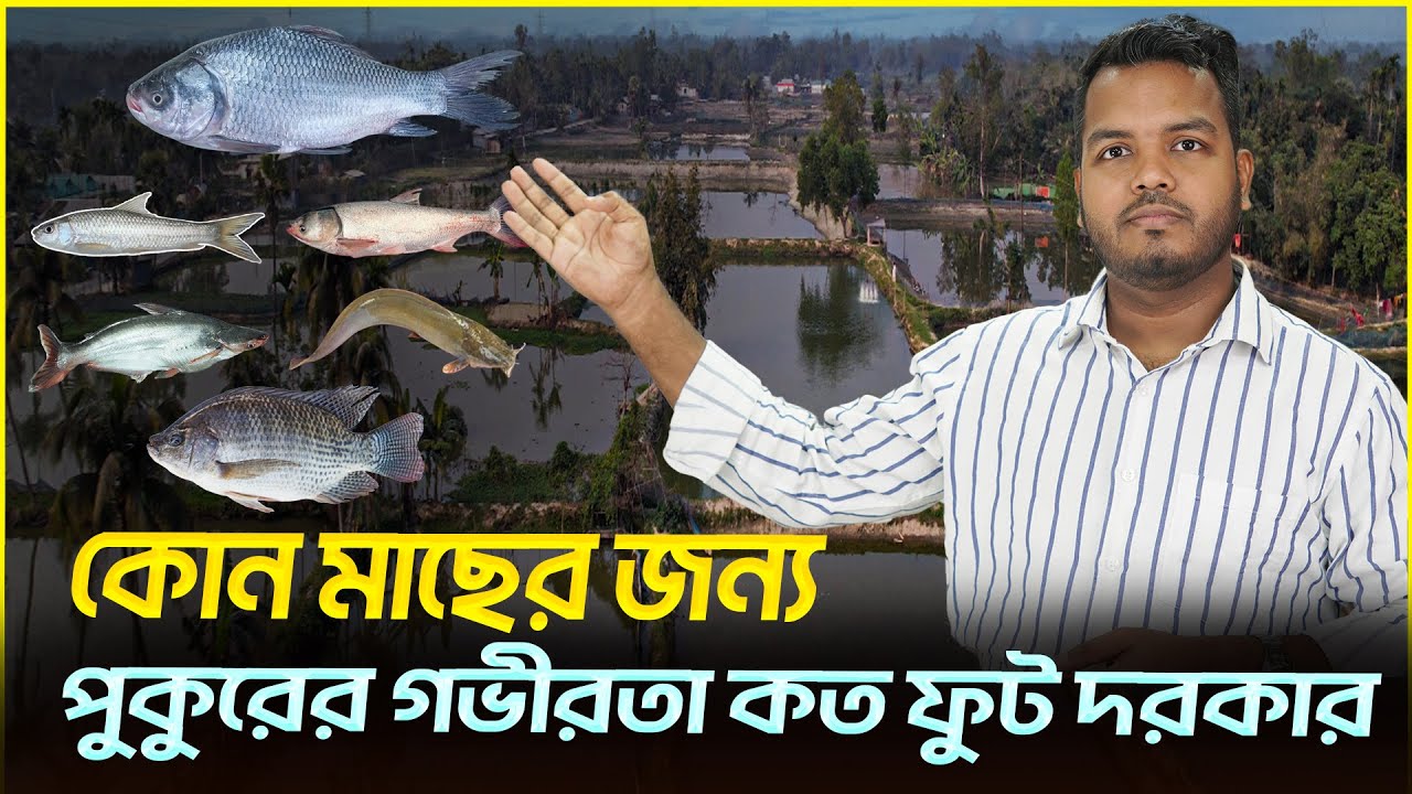 কোন মাছ চাষে পুকুরের গভীরতা কত ফুট দরকার || Shakib AGRO || মাছে চাষে কত ফুট পানি দরকার