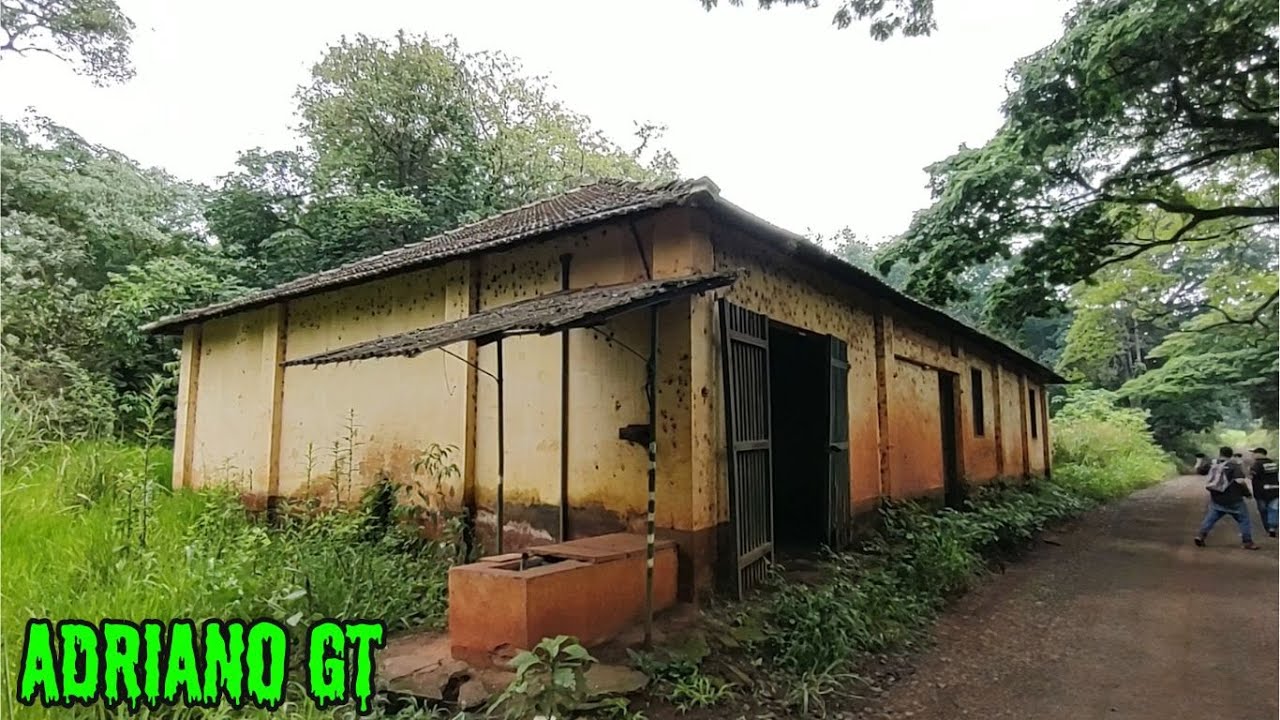 A CASA DA FLORESTA ONDE DIZEM APARECER UMA MULHER SEM ROSTO
