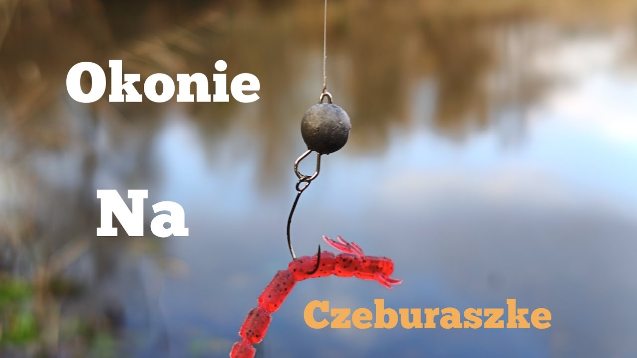 Listopadowe okonie na czeburaszke. PZW Kraków. Przylasek Rusiecki.