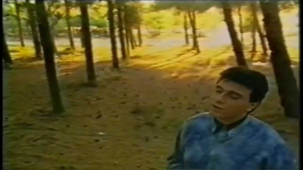 Αλέκος Ζαζόπουλος - Θα Έρχομαι Στα Όνειρά Σου