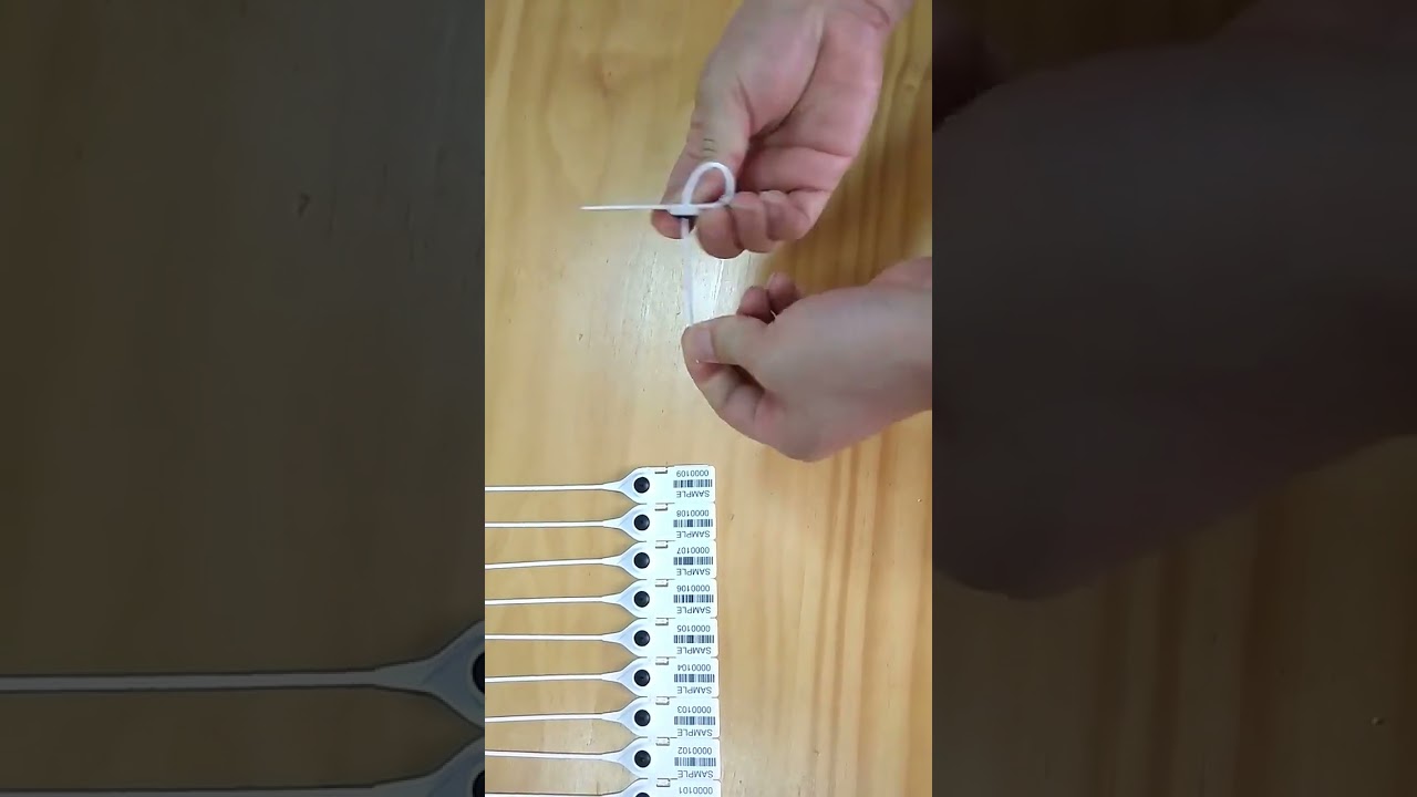 One Time Indicative Plastic Seal Y-014