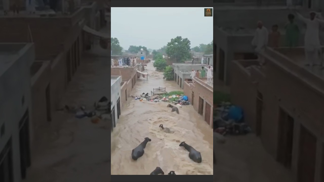Entire Village Under Water |  Unbelievable Drone Footage.#shorts