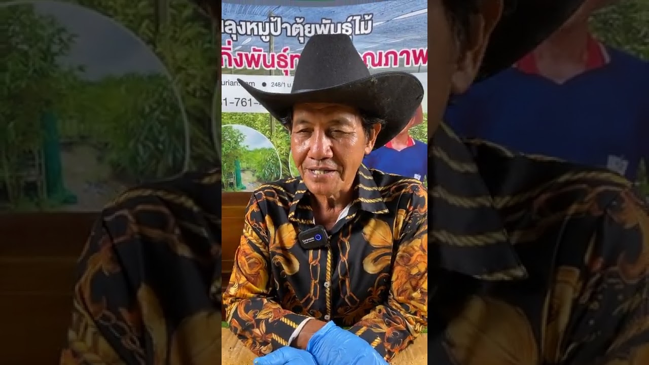 LIVE  ทุเรียนพันธุ์แดงอินโด , เหลืองอรุณ , ทองหล่อ , จันทบุรี3 , ทองย้อย ,| ลุงหมูป้าตุ้ยพันธุ์ไม้
