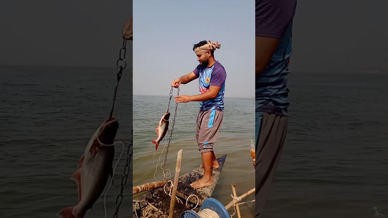 &ldquo;Hilsa Fishing Like Never Before &ndash; Fish Bait Strategy&rdquo;#Fishing #Fishingtips #MonsterCatch