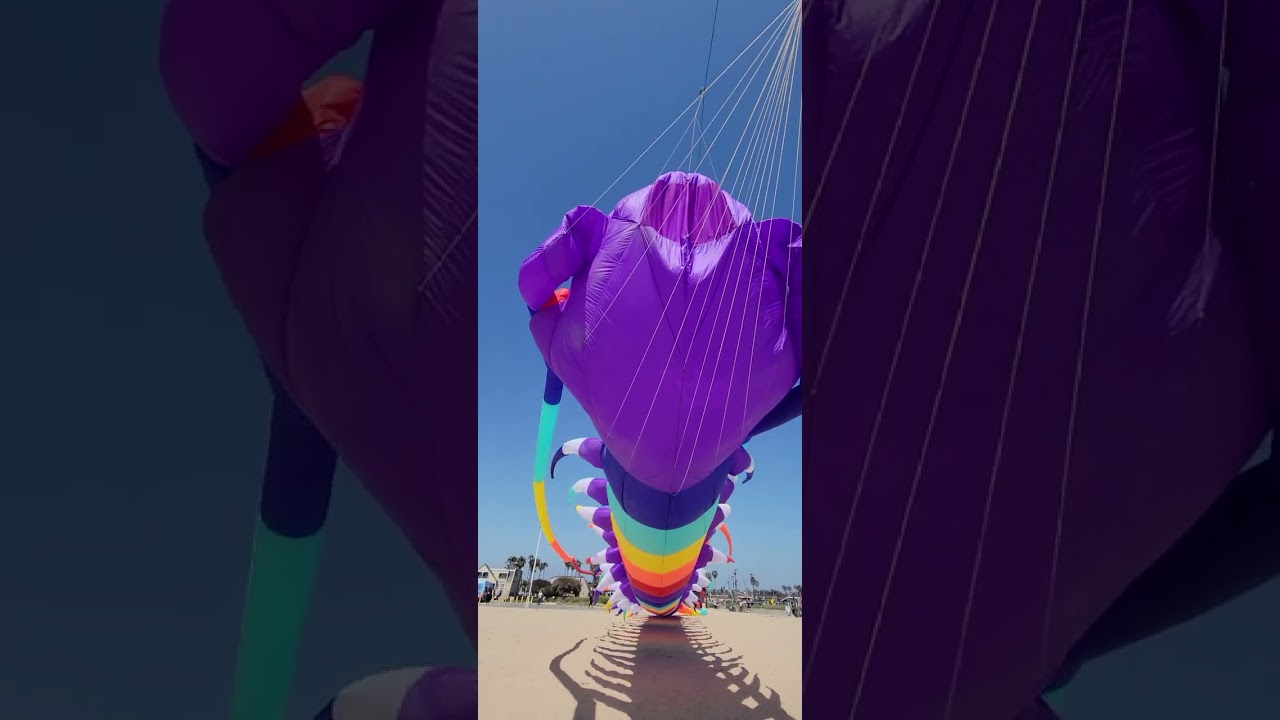 centipede kite 45 m
