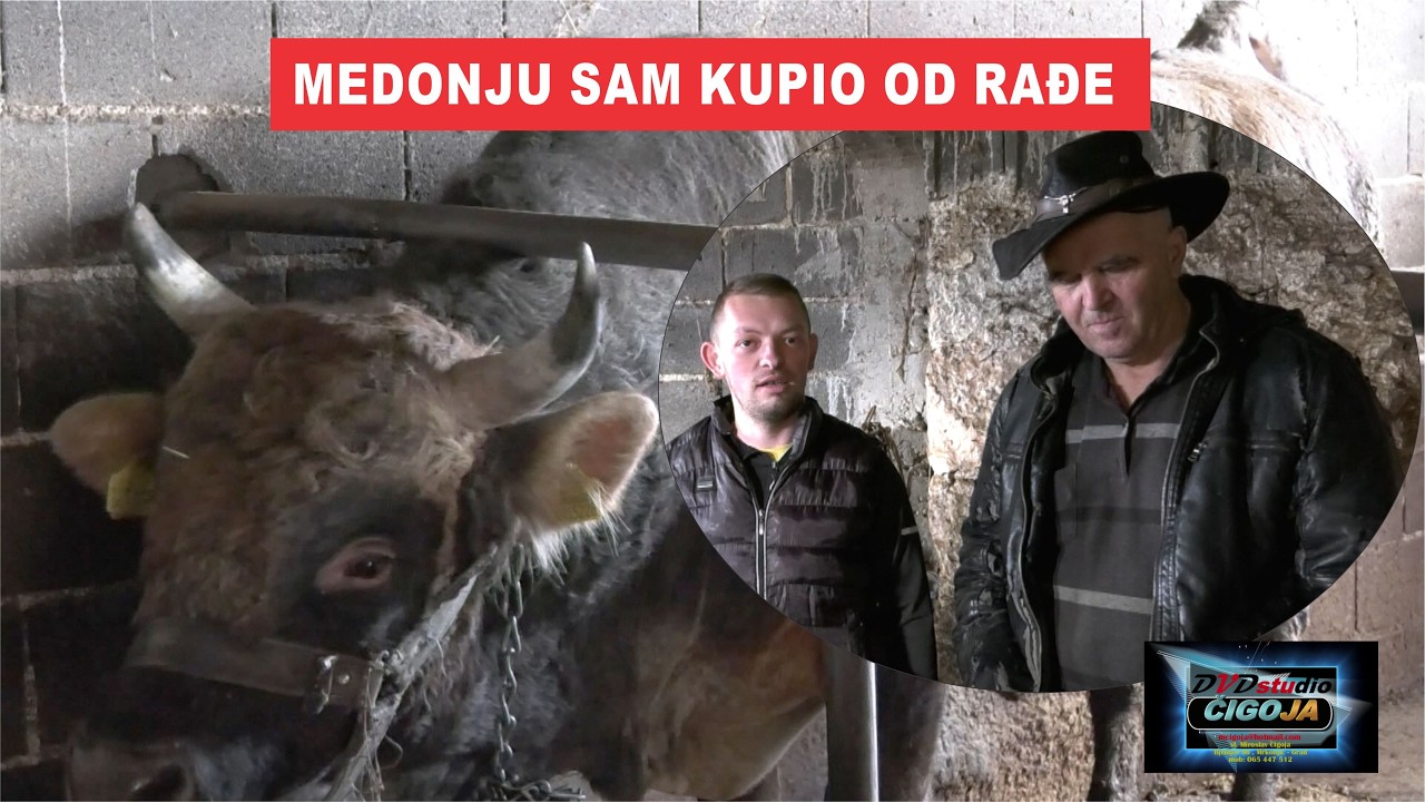 - MEDONJU SAM KUPIO OD RAĐE, A KAO DA MI GA JE POKLONIO
