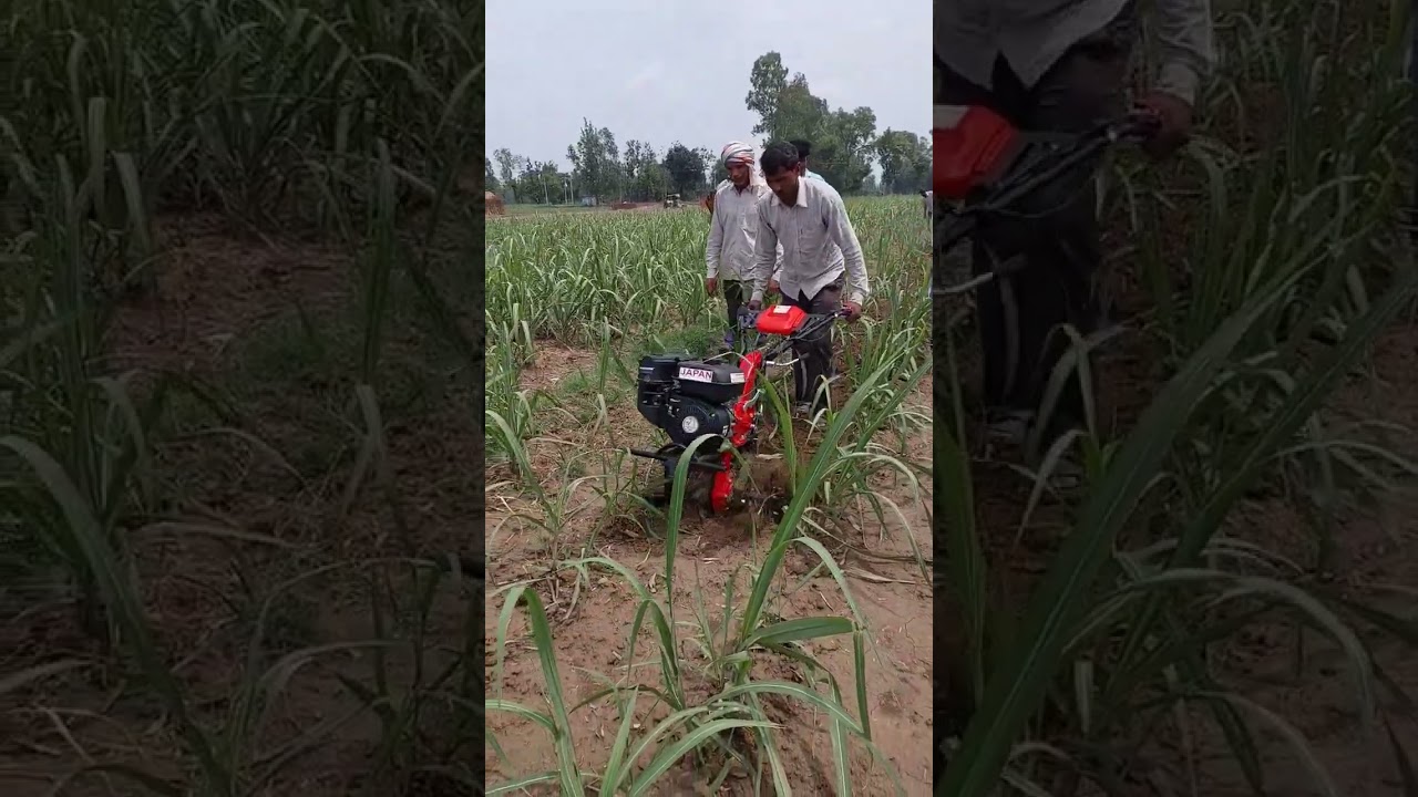 unnat kisan power weeder se ganna khet me jutai or gudai