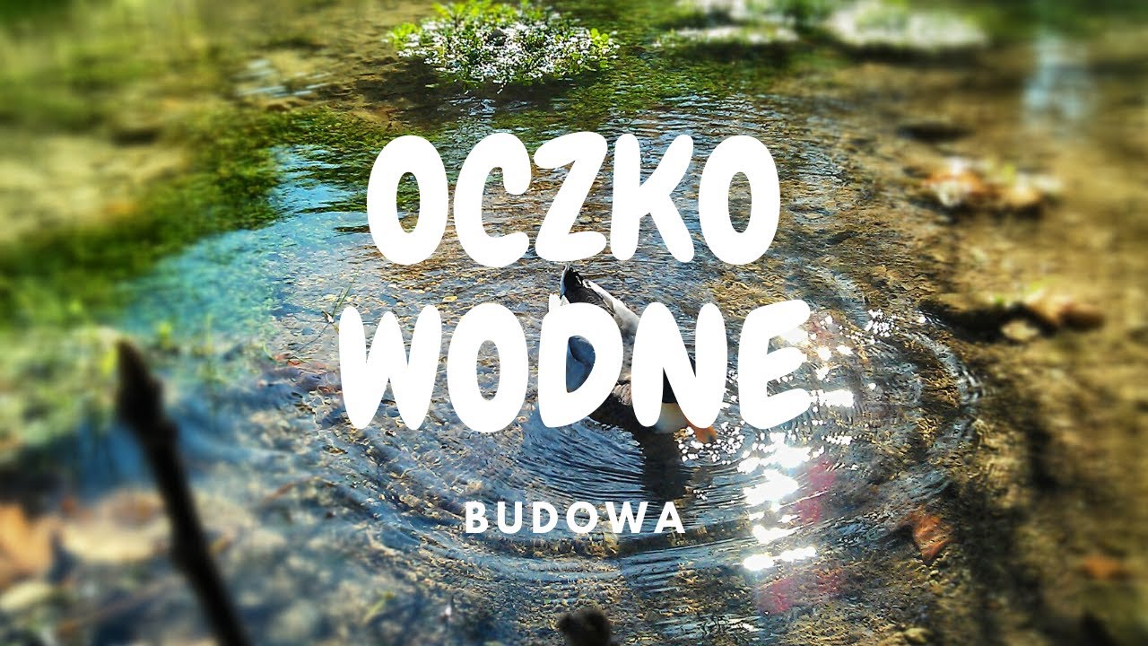 Budowa OCZKA WODNEGO - krok po kroku