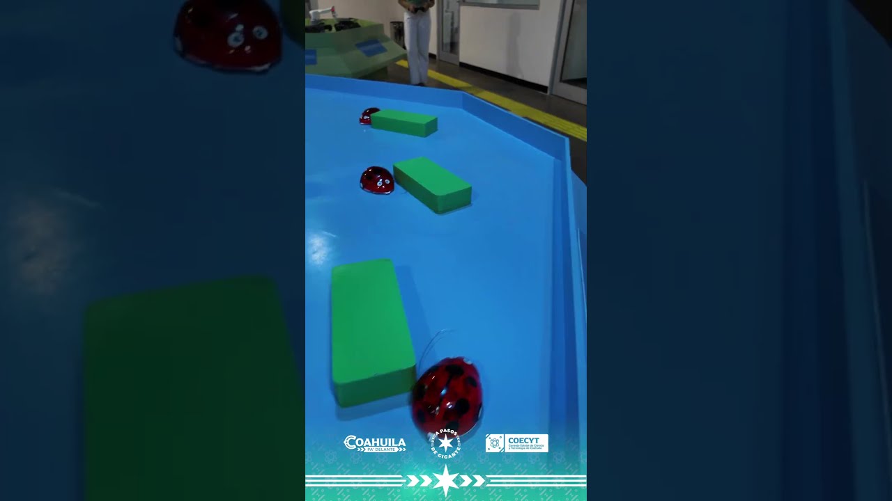 Laboratorio de Sustentabilidad del Centro del Cultura Cient&iacute;fica del COECYT en Saltillo