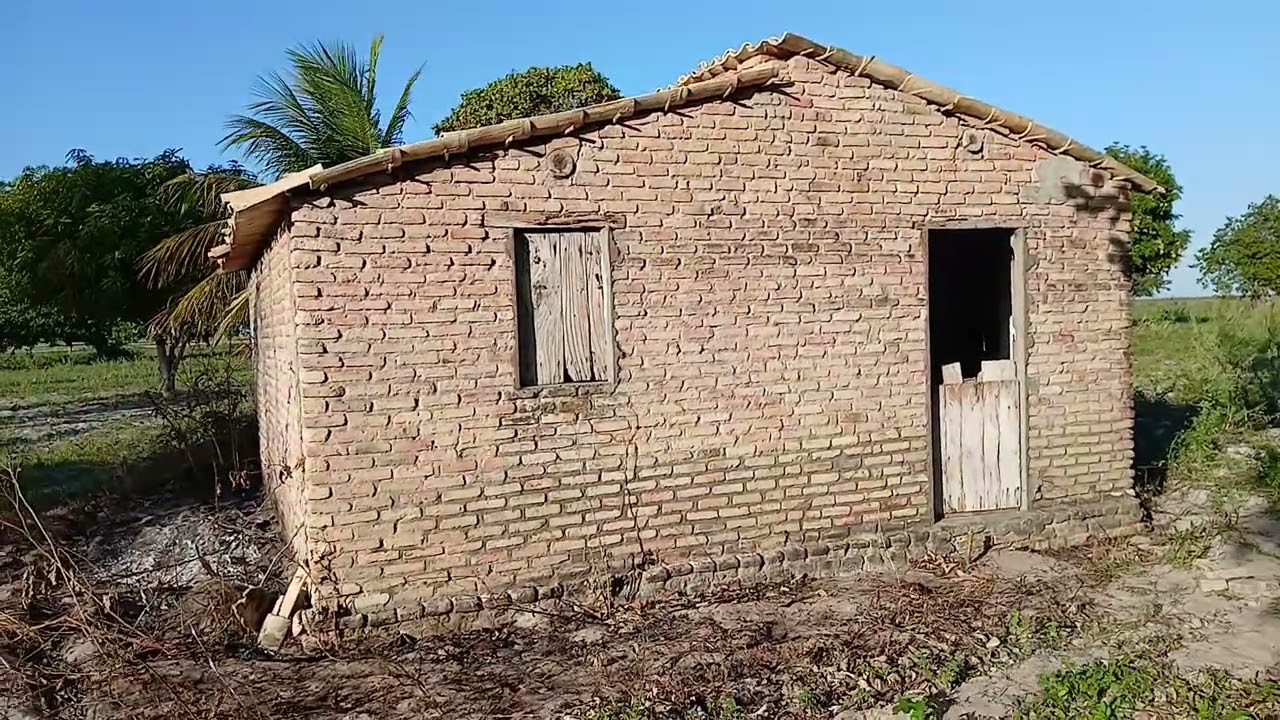 Mas um vídeo mostrando as coisas do sítio cajueiro Lagoa salgada RN 