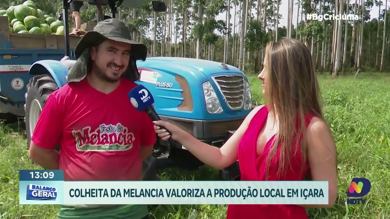 Colheita marca abertura da 60ª Festa da Melancia em Içara