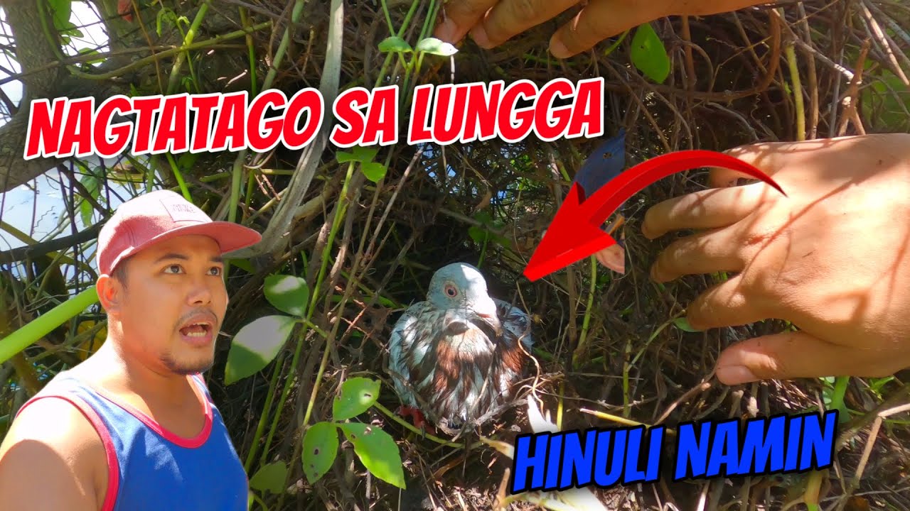 KALAPATING KAWAWA KAYA PALA NAWAWALA NAKASTICKER PA NA SIRA😱 …