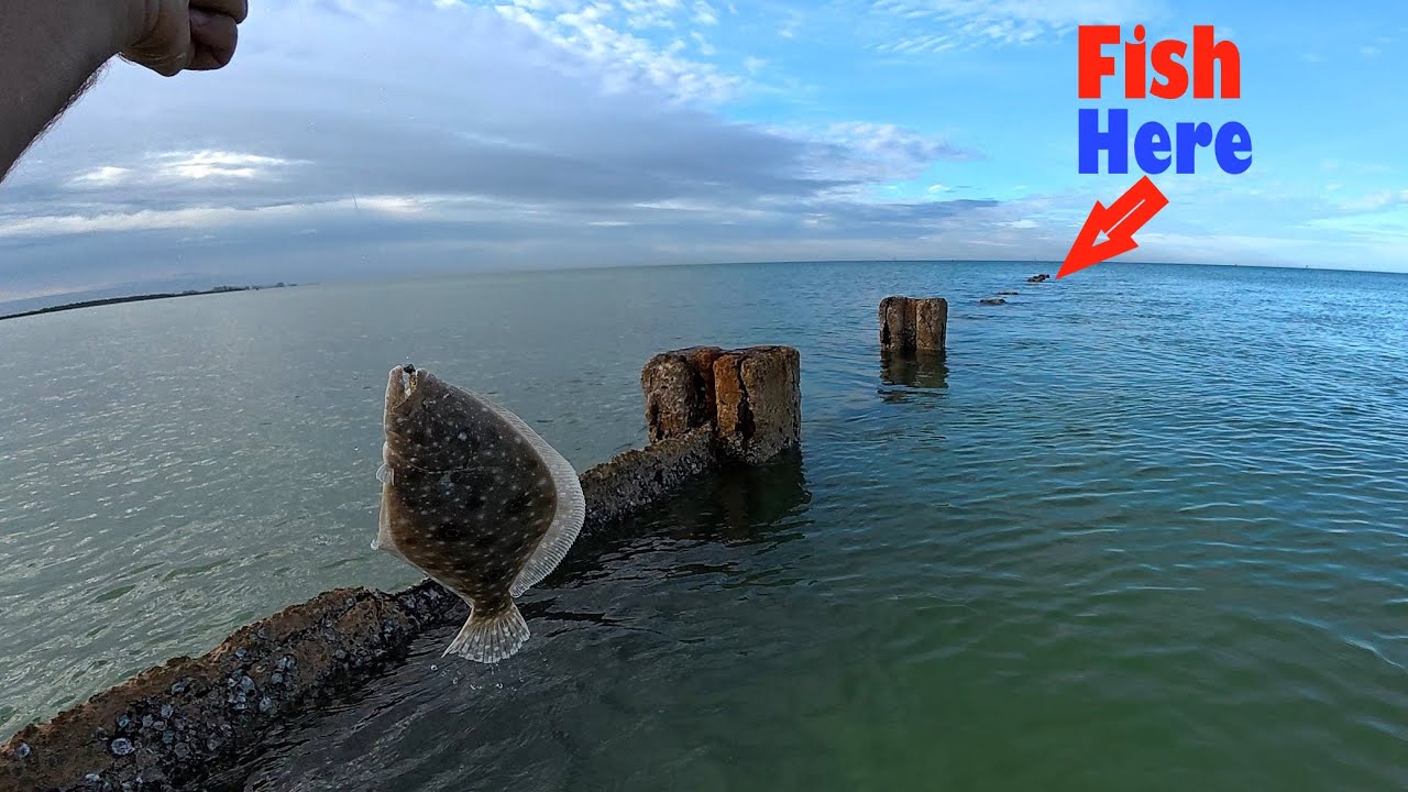 Двухдневное рыболовное приключение в заливе Тампа, Флорида