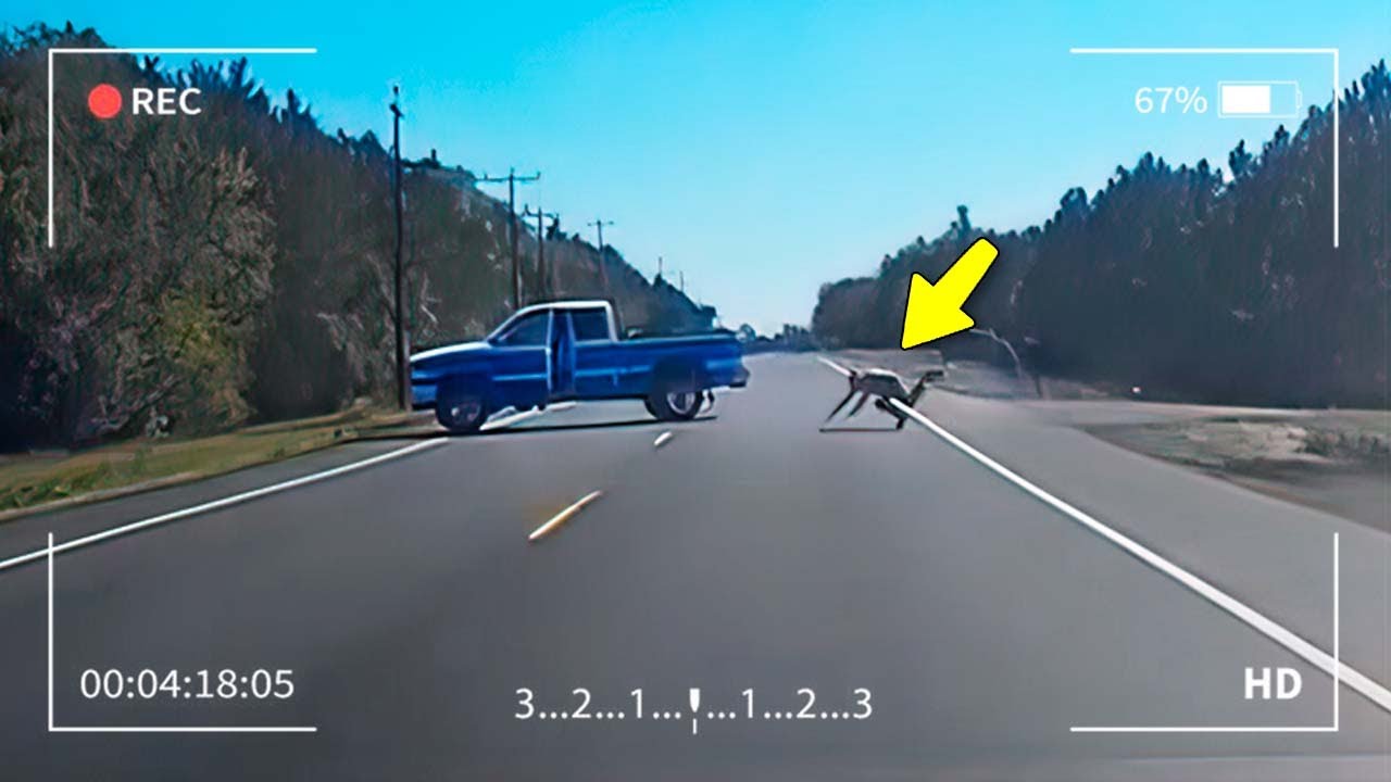 50 Incríveis Momentos da Estrada Gravados Pelas Câmeras