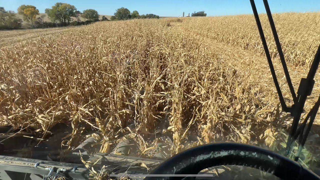 And…HERE WE GO! Eastern Nebraska Corn Harvest / October 13-16