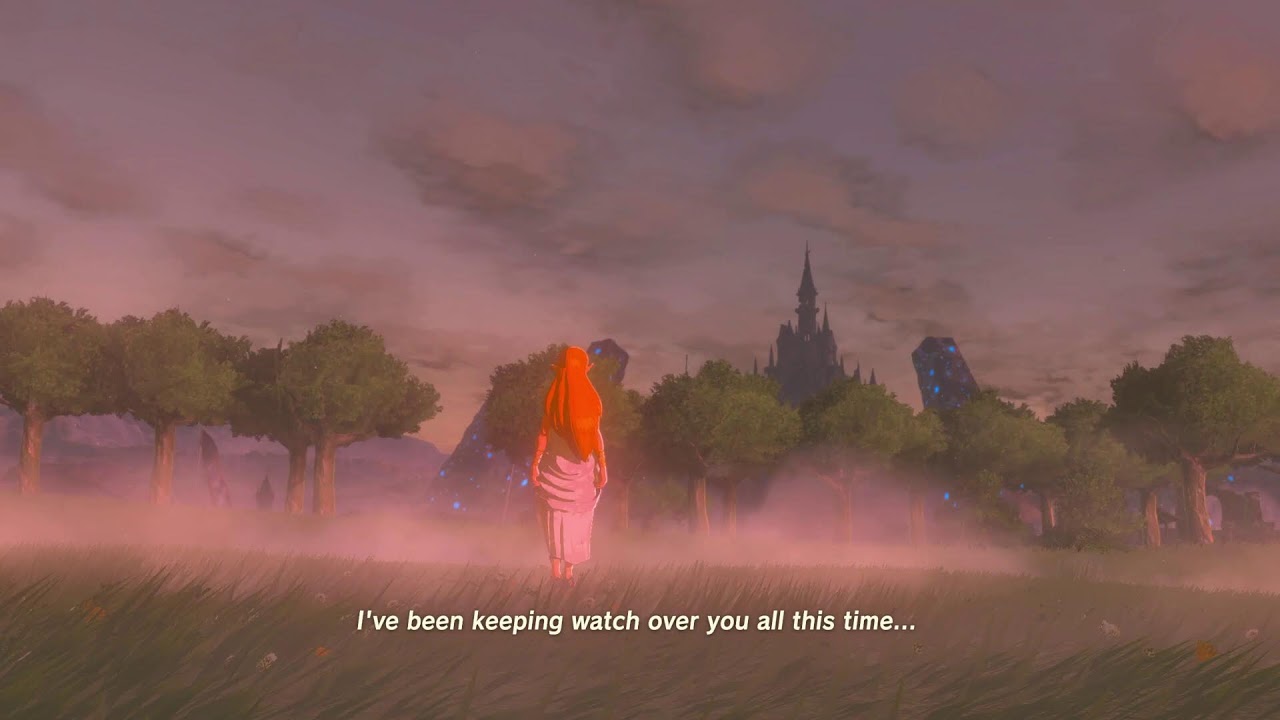 Breath of The Wild (Switch II)