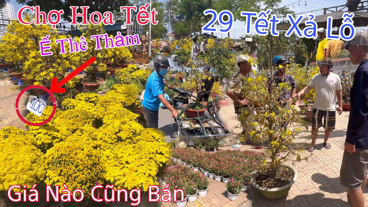 Ế Thê Thảm 29 Tết, Bán Xả Lỗ Không Ai Mua Toàn Người Trả Giá Không Bán Được 1 Chậu