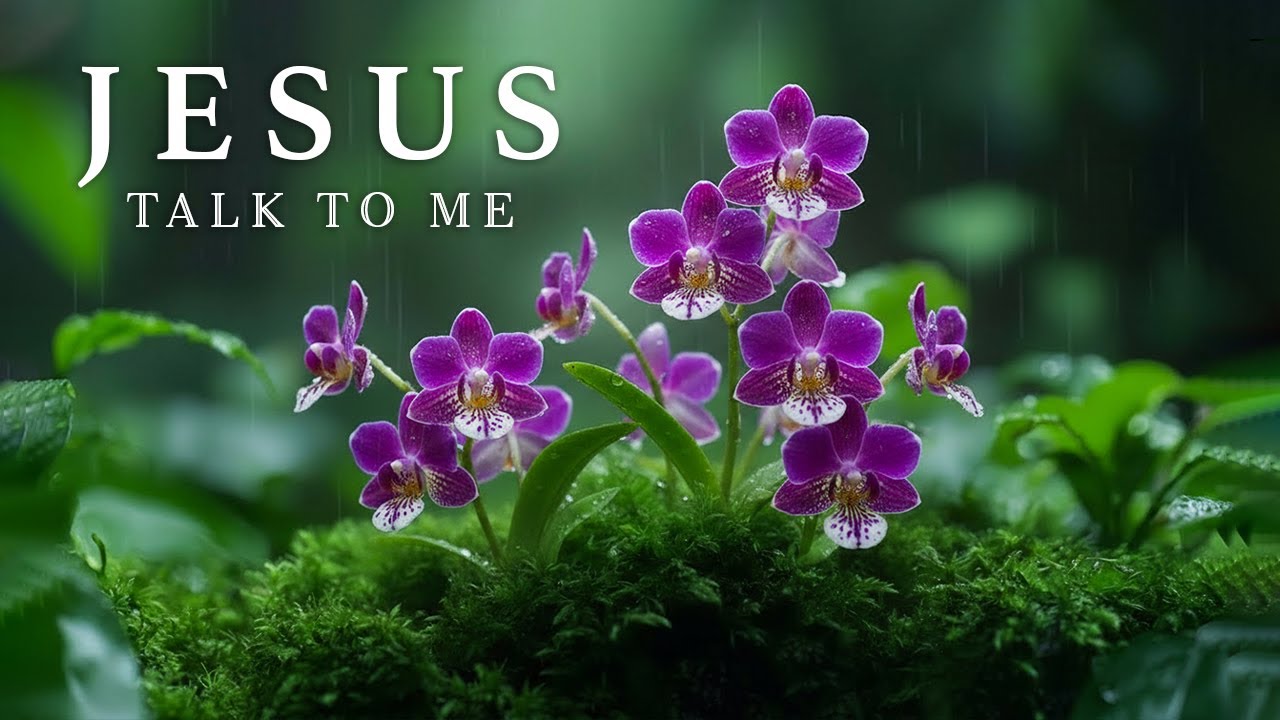 JESUS TALK TO ME | Deep Prayer Instrumental Worship Music to Encounter God