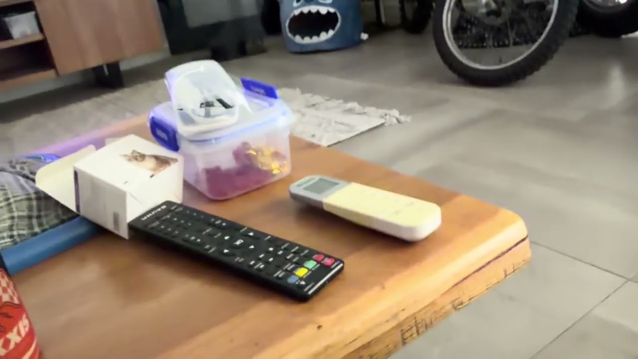 The Cat and its New PO2 play Roller like a Mouse