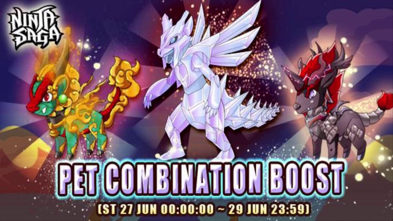 NS Pet Combination Hack [NO HACK]