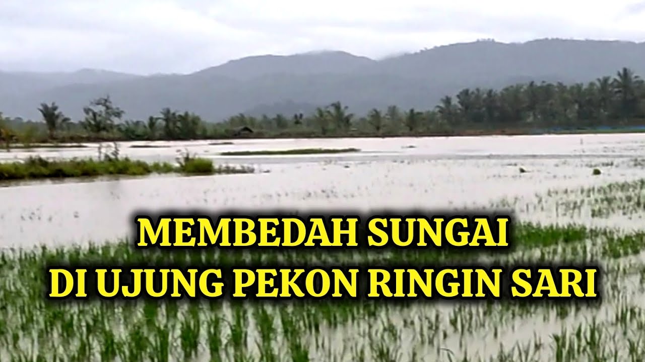 SUNGAI BARU YANG DI BUAT OLEH MASYARAKAT PEKON RINGIN SARI DAN SUMBER AGUNG  SUOH