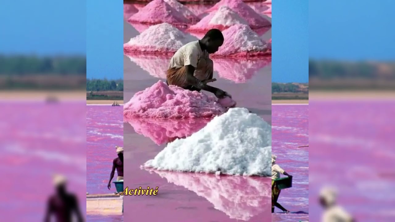 Le Lac Rose du Sénégal : Un joyau naturel entre ciel et sel #lacrose #senegal