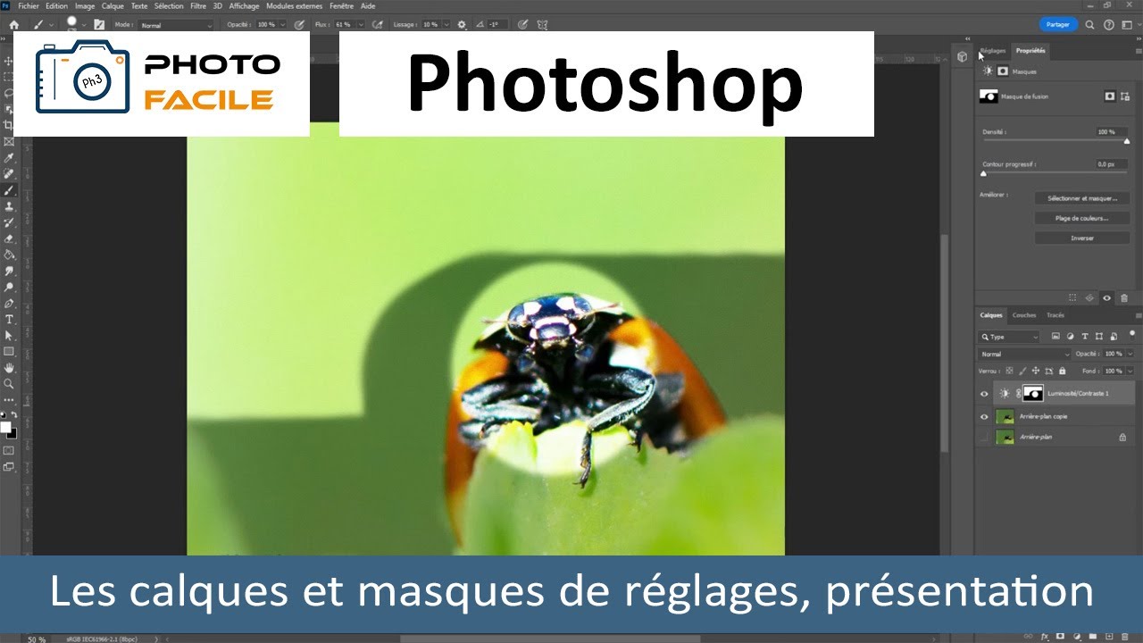 D&eacute;couvrez les secrets des calques de r&eacute;glage et des masques de Photoshop