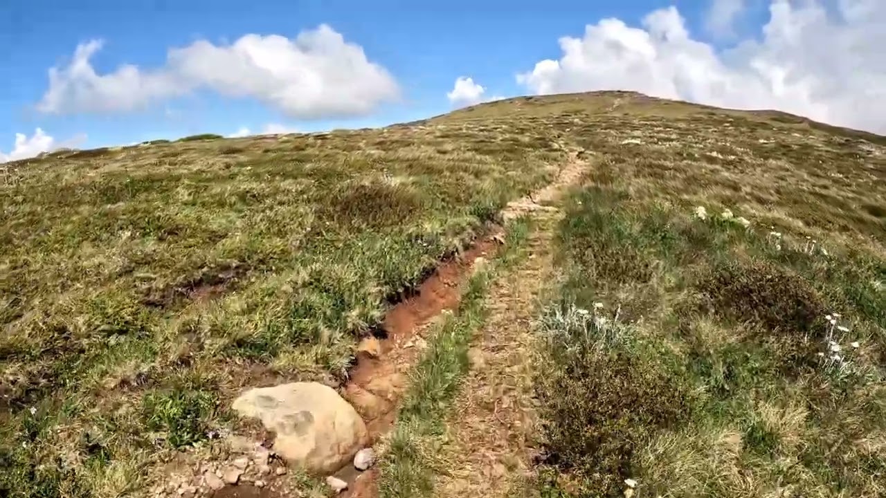 Hike to the summit of Mt Howitt