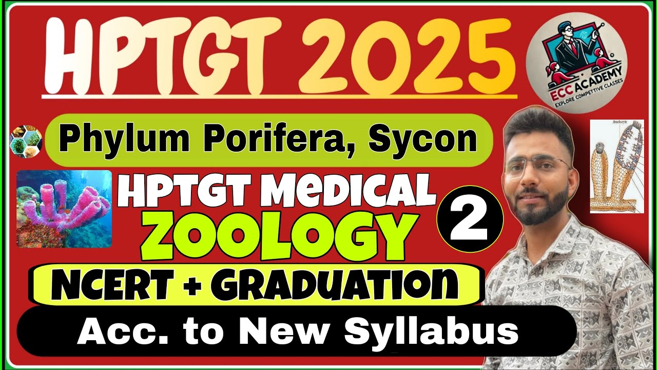 2. Zoology - HPTGT Medical 2025 | Phylum Porifera | Canal System in Sycon #tgtmedical 