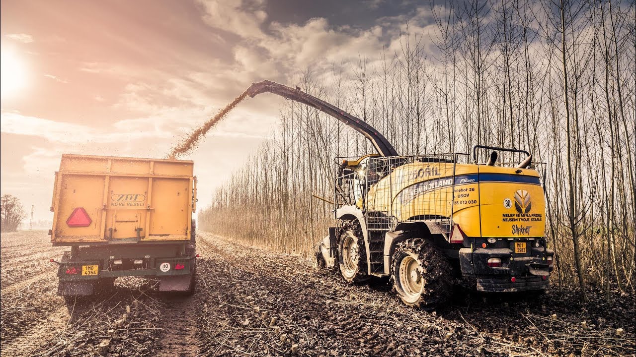 New Holland FR850 – dvacetilitrový osmiválec při sklizni japonských topolů