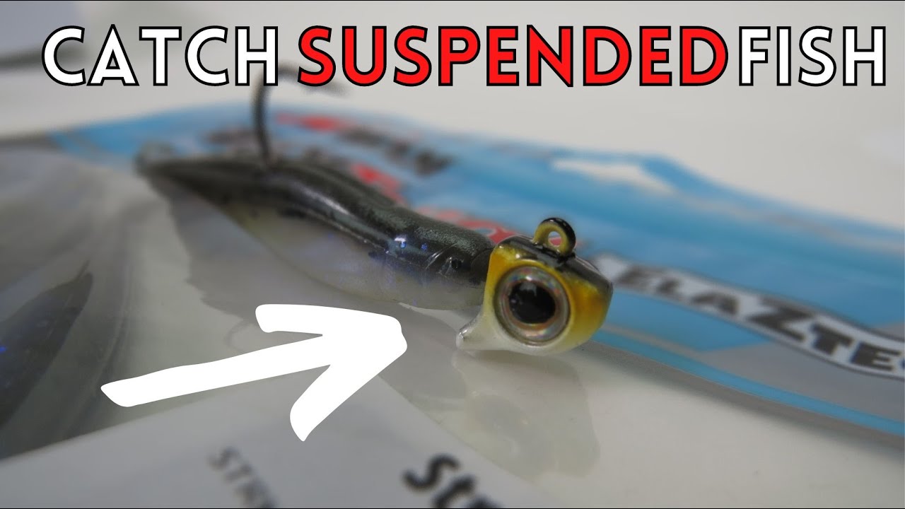 The #1 Lure To Catch GIANT Bass Deep (Suspended Fish 101)