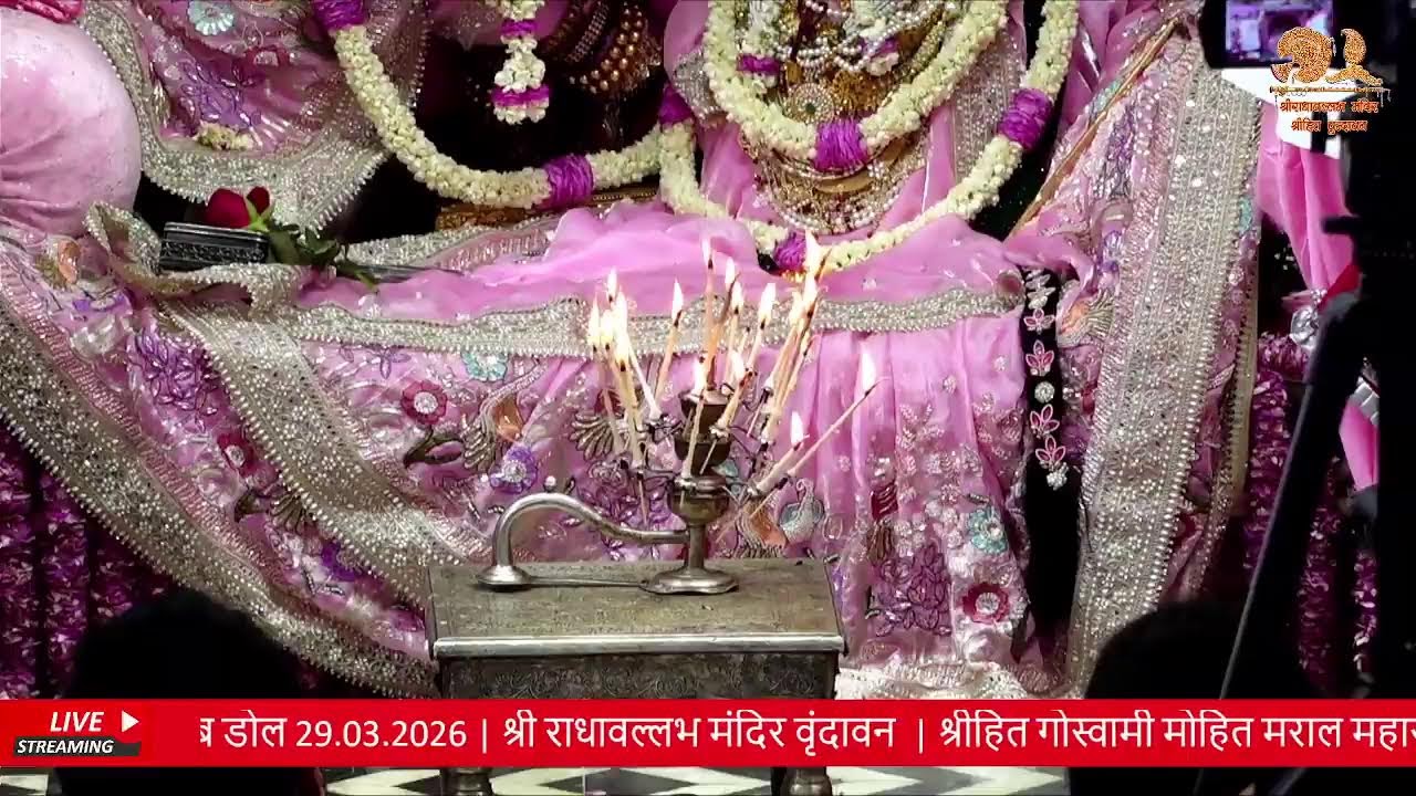 Live : Gulab Dol Shri Radhavallabh Mandir Vrindavan
