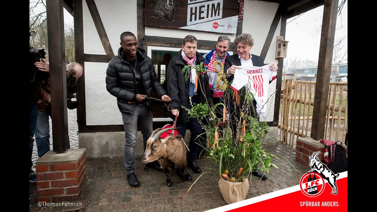 Happy Birthday, Hennes VIII.