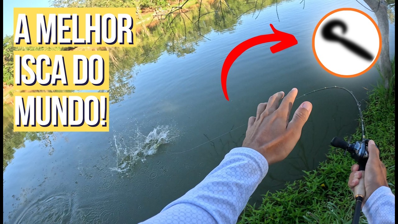 A ESTRATÉGIA QUE SALVOU A PESCARIA: DOURADOS E TAMBAS GIGANTES NO MESMO DIA! 🎣🔥