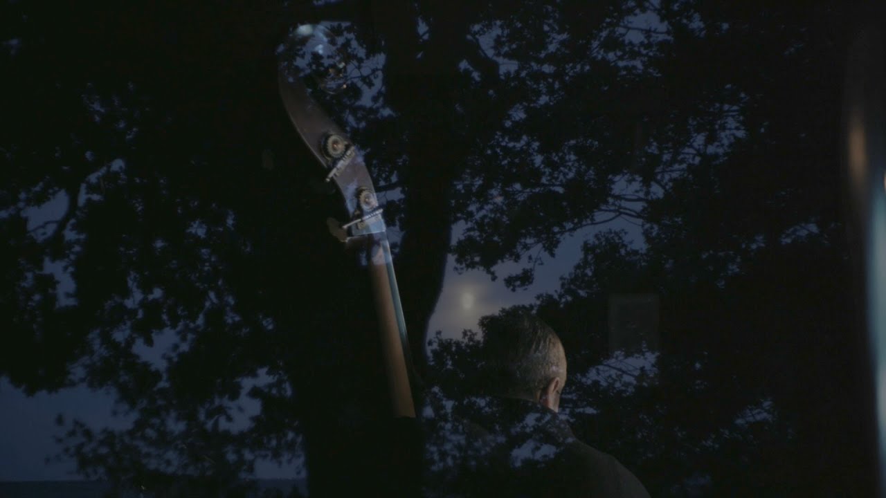 Thomas Morgan: Around You Is A Forest (Official Video)