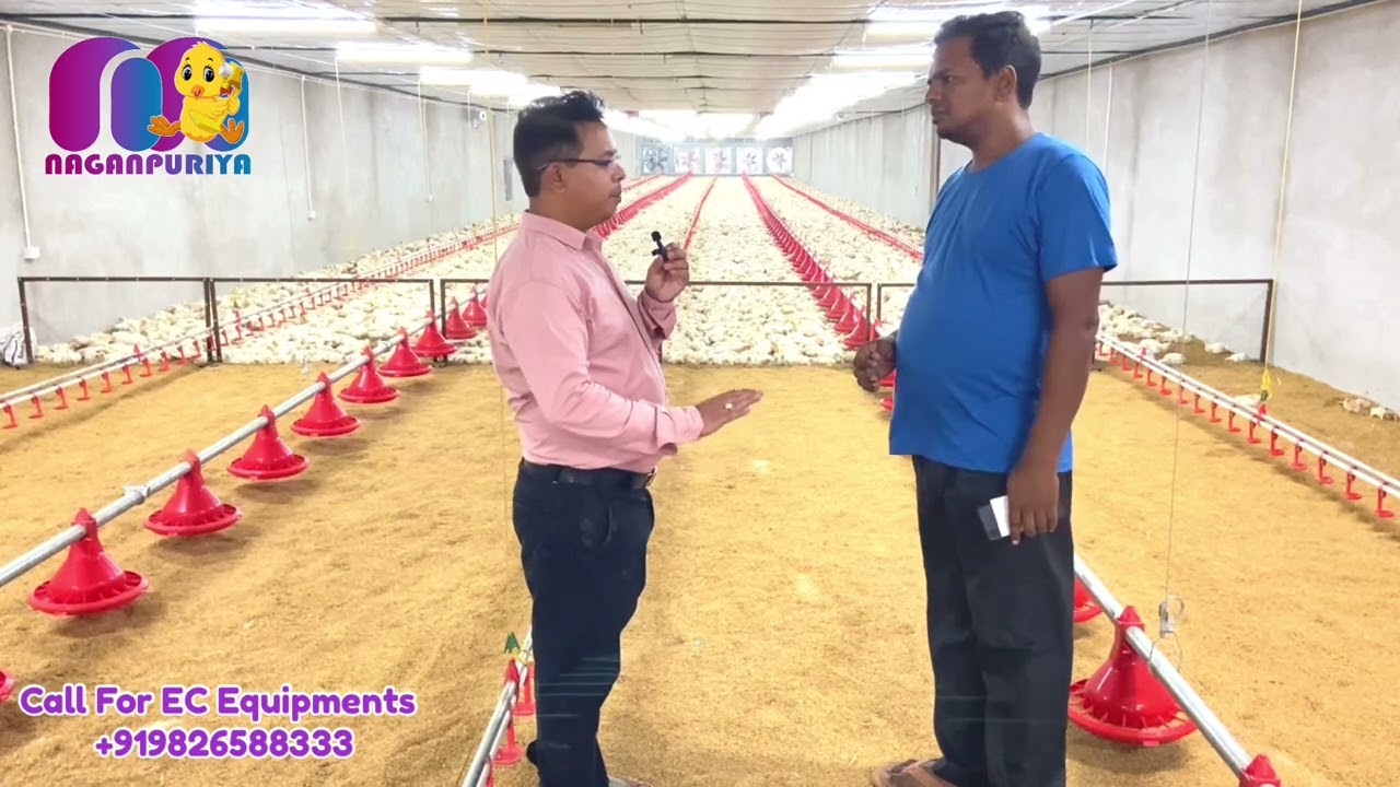 EC Poultry Farm Management Tricks By Dr. Pawan/ ई सी फार्म मेनेजमेंट पर ख़ास बातचीत #poultryfarming