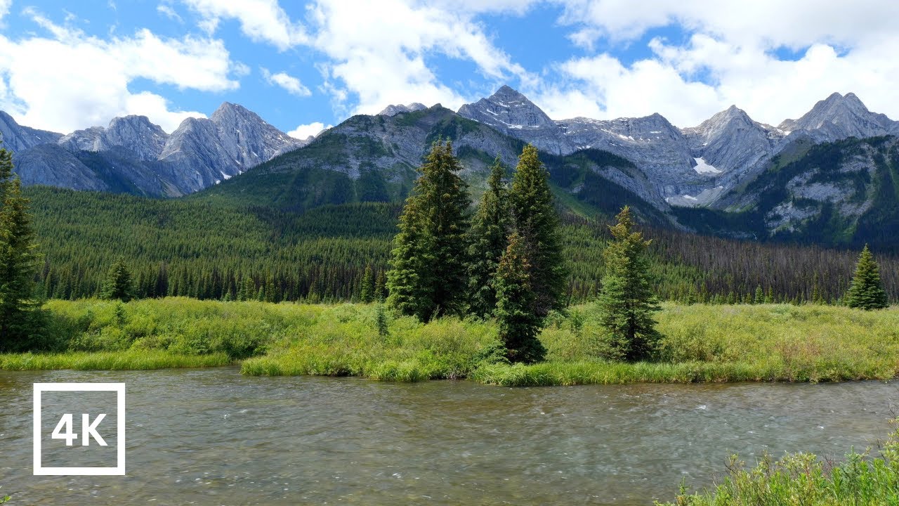 4K Mountain River in Spring | Canadian Backcountry | Nature Sounds for Sleep & Study | White Noise