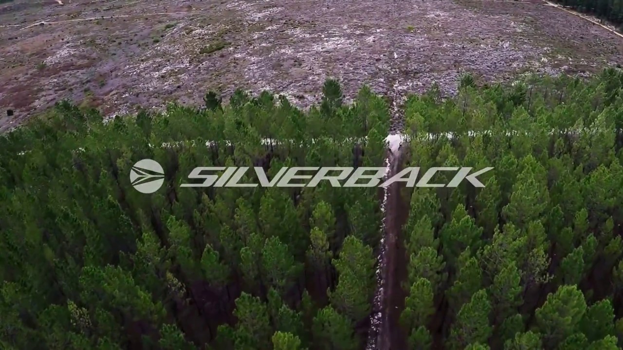 This is Silverback.