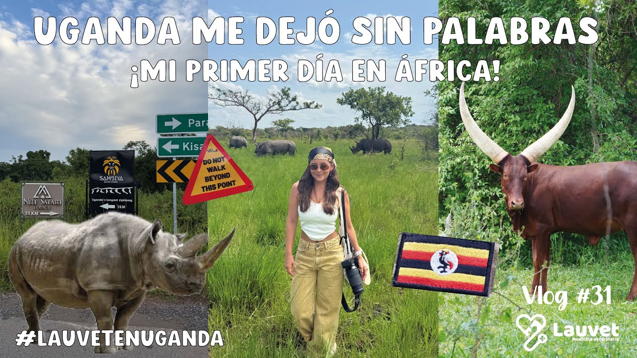 Mi Primer Día En Uganda | Visité Un Santuario De Rinocerontes - Lauvet