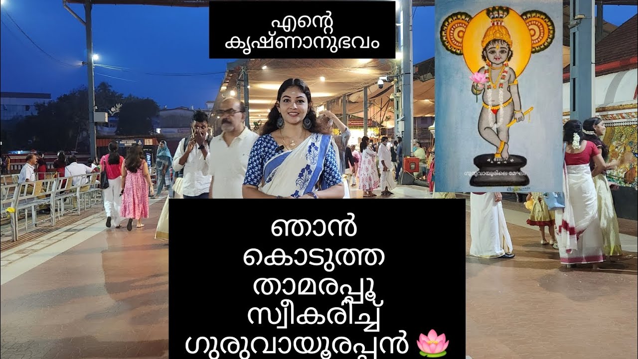 ഒരിക്കലും മറക്കാനാവാത്ത അനുഭവം. 🪷 ഞാൻ കൊടുത്ത താമരപ്പൂ എന്റെ ഗുരുവായൂരപ്പൻ സ്വീകരിച്ചു.. 🥹🙏🏻