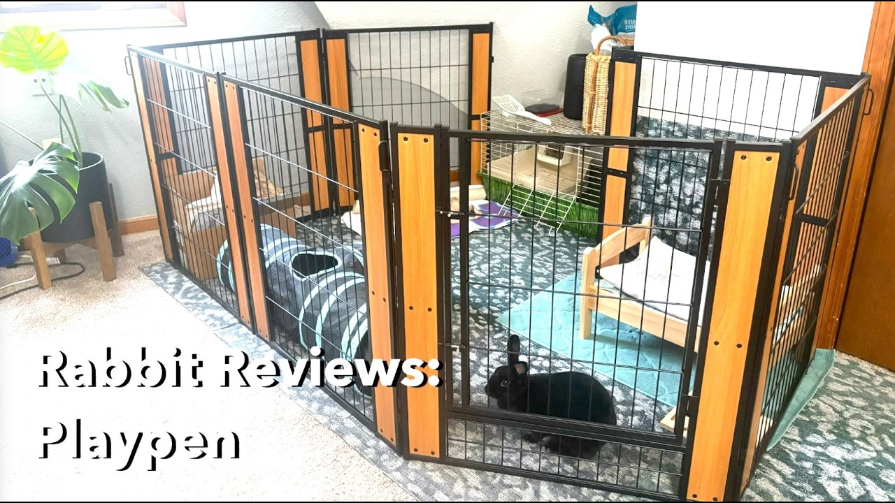 Heavy Duty Pet Playpen Review - Shadow Approved!