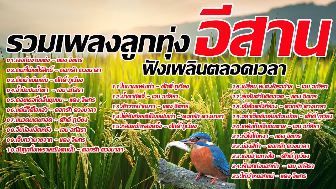 รวมเพลงลูกทุ่งอีสานฟังฟันทุกวัน