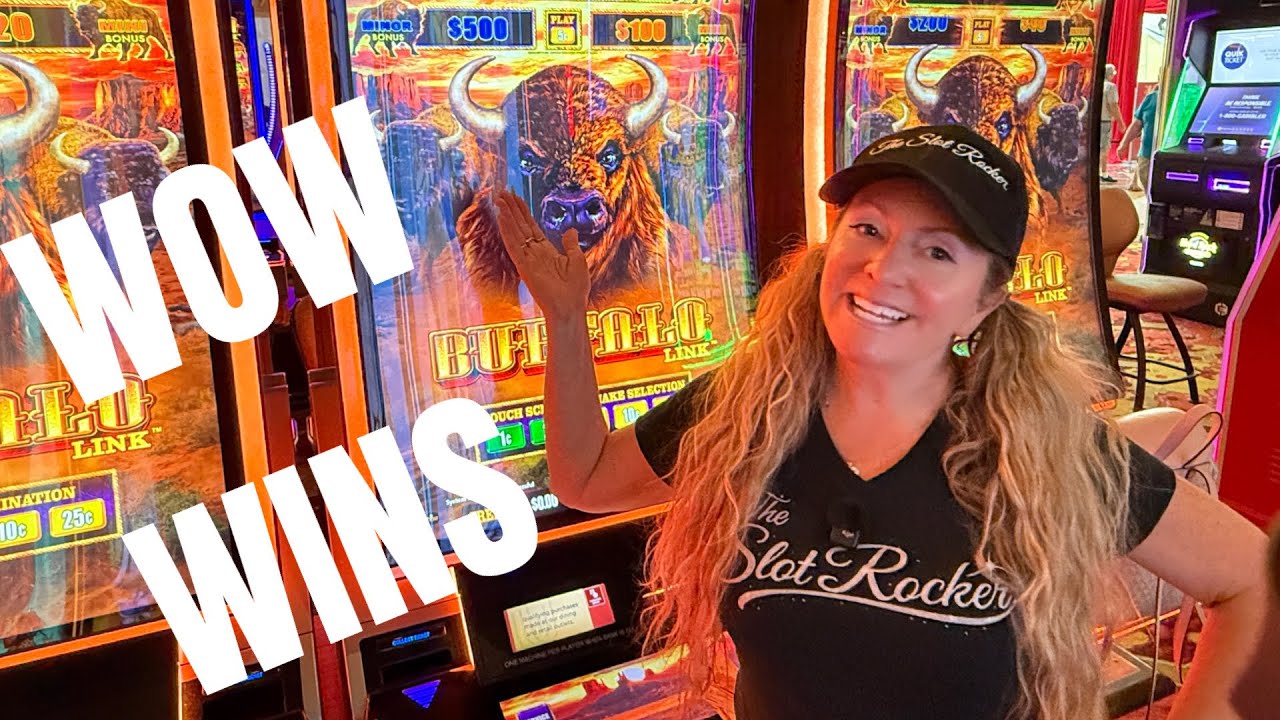 $5 BETS PAY BIG TODAY ON BUFFALO LINK @hardrocktampa #casino #slotmachine 