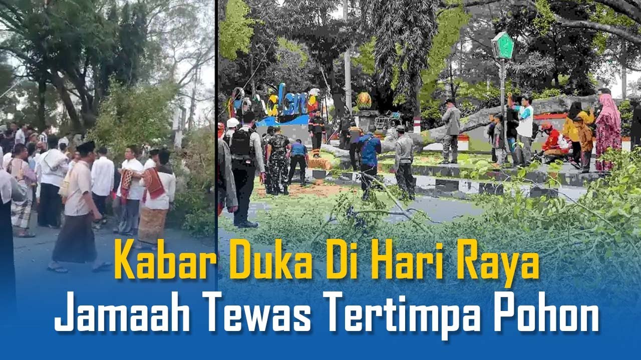 Pohon Beringin Roboh Timpa Jamaah Salat Idul Fitri di Alun alun Pemalang, 2 Jemaah Tewas 15 Terluka
